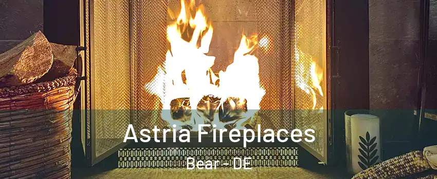  Astria Fireplaces Bear - DE