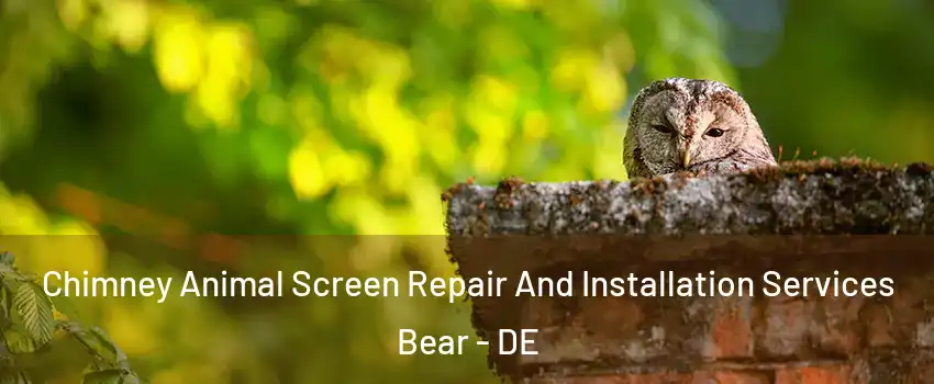  Chimney Animal Screen Repair And Installation Services Bear - DE