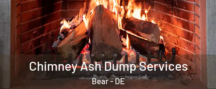  Chimney Ash Dump Services Bear - DE