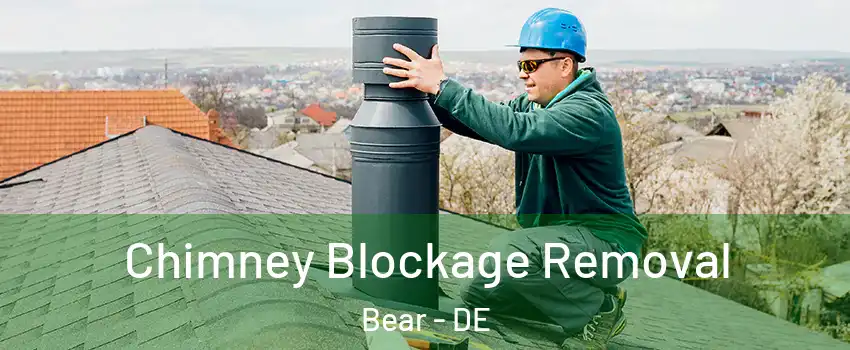  Chimney Blockage Removal Bear - DE