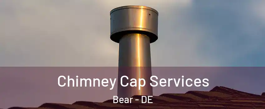  Chimney Cap Services Bear - DE