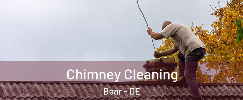  Chimney Cleaning Bear - DE