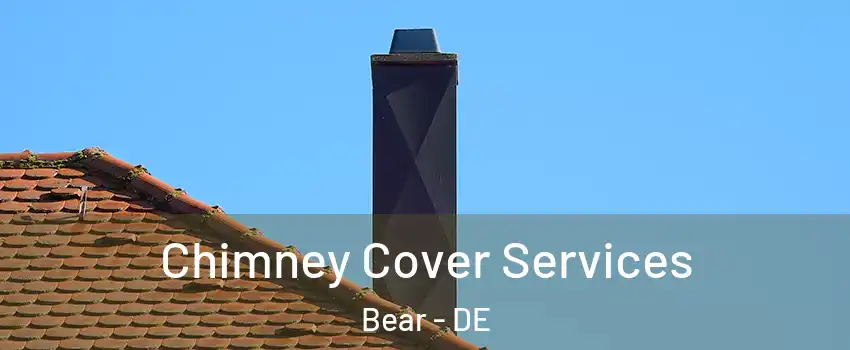  Chimney Cover Services Bear - DE