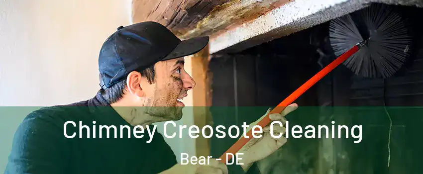  Chimney Creosote Cleaning Bear - DE
