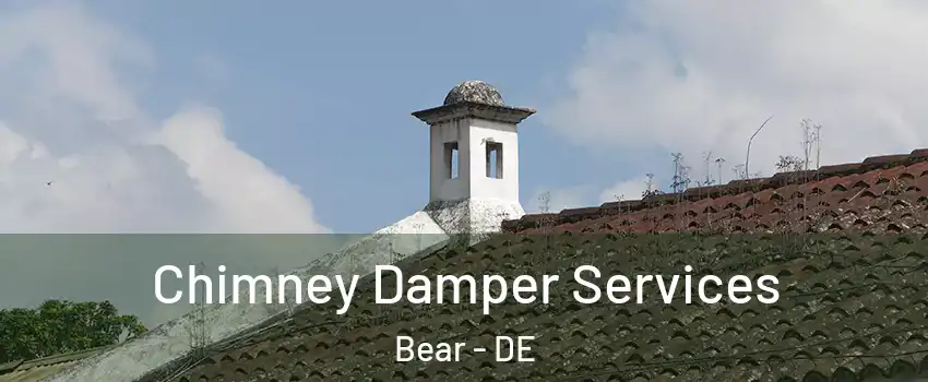  Chimney Damper Services Bear - DE