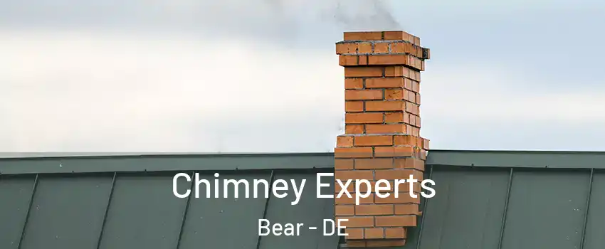 Chimney Experts Bear - DE