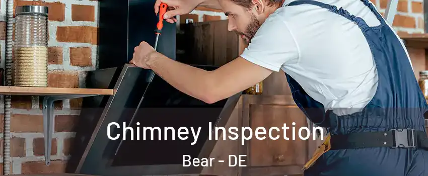  Chimney Inspection Bear - DE