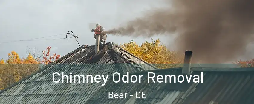  Chimney Odor Removal Bear - DE