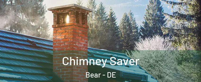  Chimney Saver Bear - DE