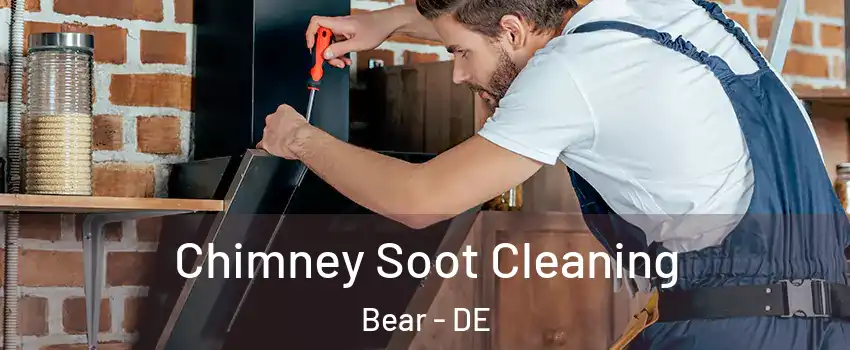  Chimney Soot Cleaning Bear - DE