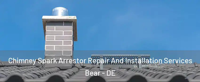  Chimney Spark Arrestor Repair And Installation Services Bear - DE