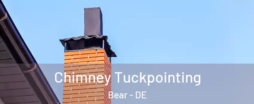  Chimney Tuckpointing Bear - DE
