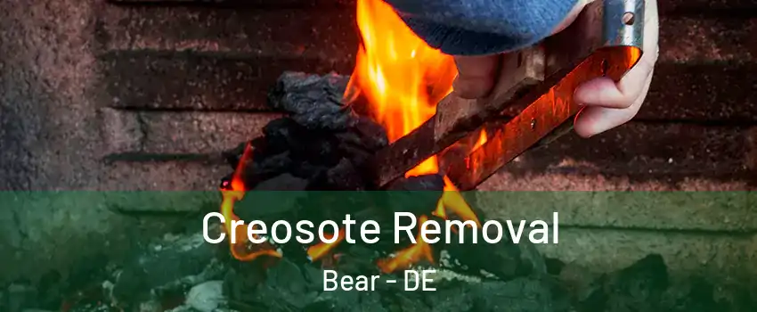  Creosote Removal Bear - DE