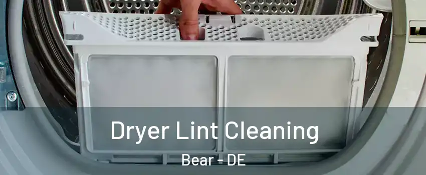  Dryer Lint Cleaning Bear - DE