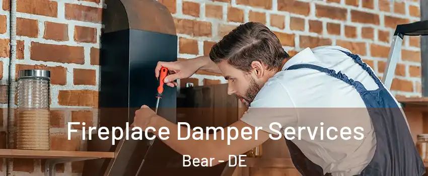  Fireplace Damper Services Bear - DE