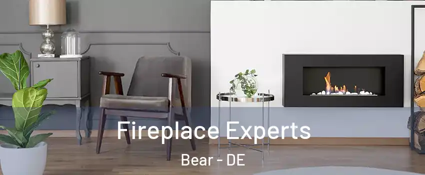  Fireplace Experts Bear - DE