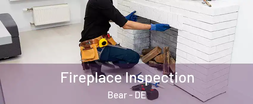  Fireplace Inspection Bear - DE