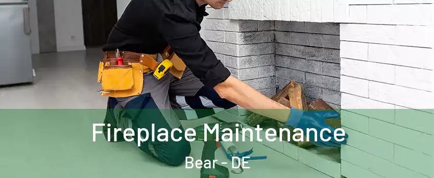  Fireplace Maintenance Bear - DE