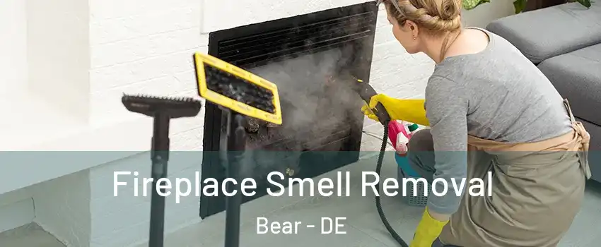  Fireplace Smell Removal Bear - DE