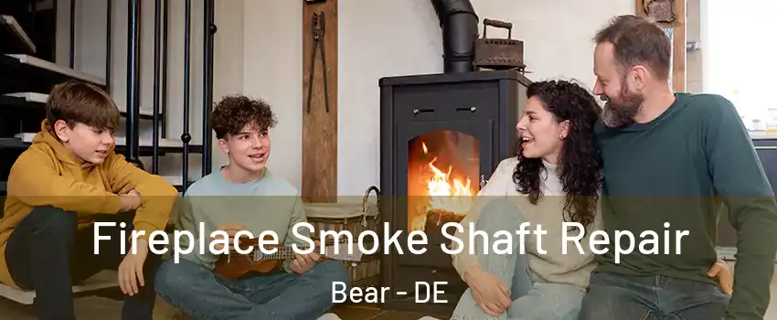  Fireplace Smoke Shaft Repair Bear - DE