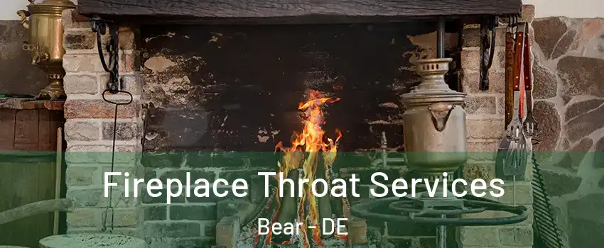 Fireplace Throat Services Bear - DE