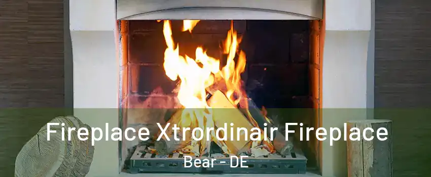  Fireplace Xtrordinair Fireplace Bear - DE