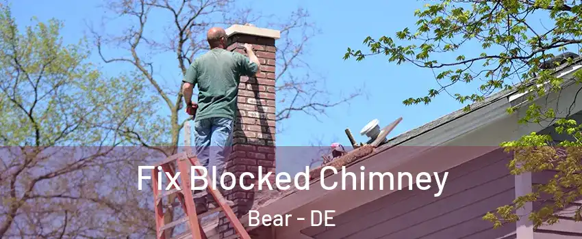  Fix Blocked Chimney Bear - DE