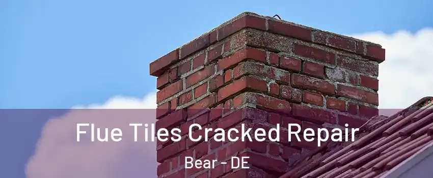  Flue Tiles Cracked Repair Bear - DE
