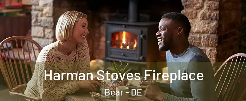  Harman Stoves Fireplace Bear - DE