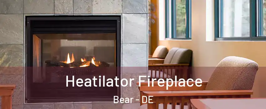  Heatilator Fireplace Bear - DE