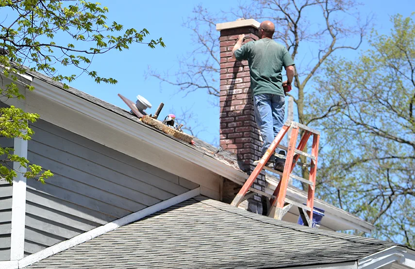 Chimney & Fireplace Inspections Services in Bear, DE