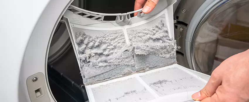 Best Dryer Lint Removal Company in Bear, Delaware