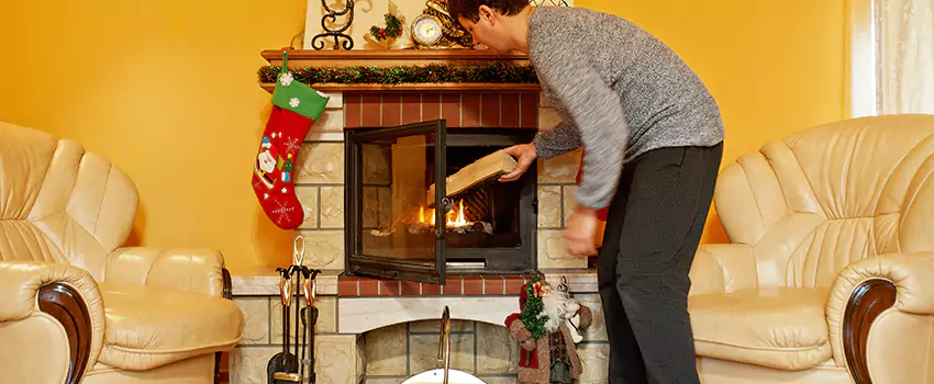 Gas to Wood-Burning Fireplace Conversion Services in Bear, Delaware