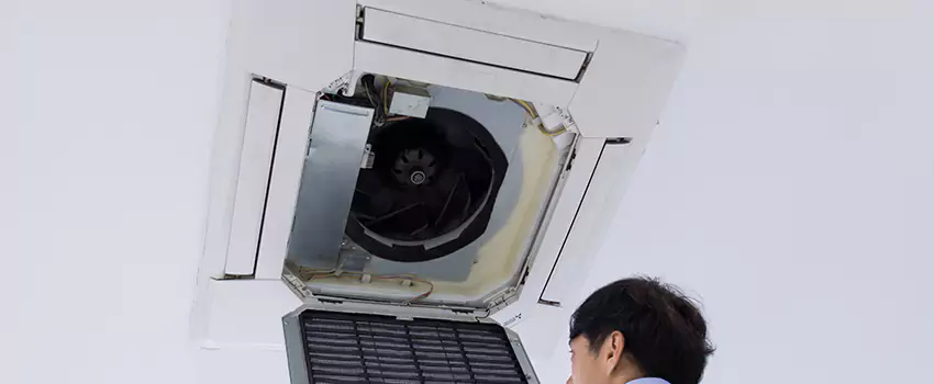 Benefits of Professional Air Duct Cleaning in Bear, Delaware