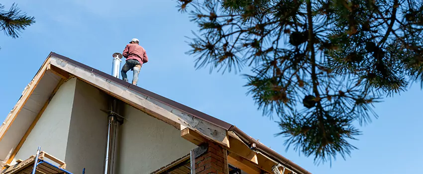 Birds Removal Contractors from Chimney in Bear, DE