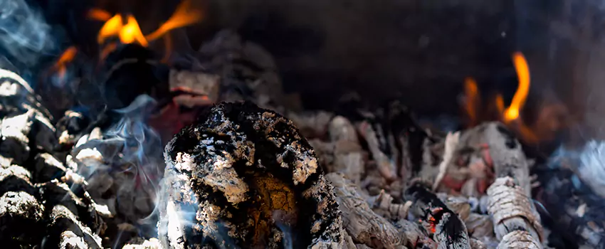 Creosote Removal Experts in Bear, DE