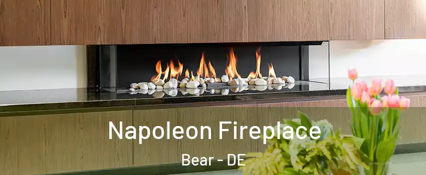  Napoleon Fireplace Bear - DE