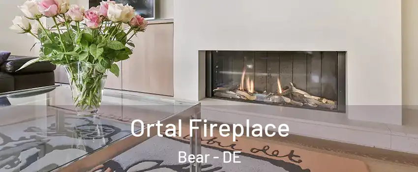  Ortal Fireplace Bear - DE