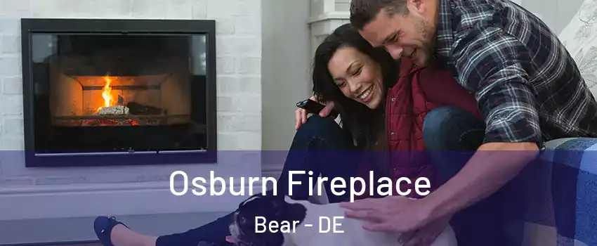  Osburn Fireplace Bear - DE