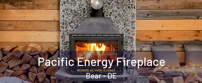  Pacific Energy Fireplace Bear - DE