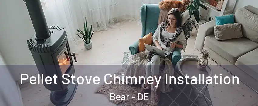  Pellet Stove Chimney Installation Bear - DE