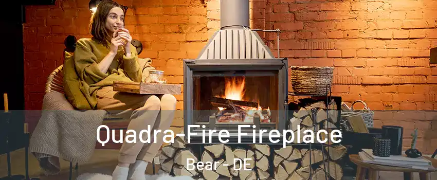  Quadra-Fire Fireplace Bear - DE