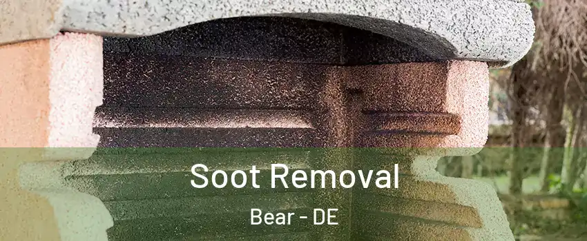  Soot Removal Bear - DE