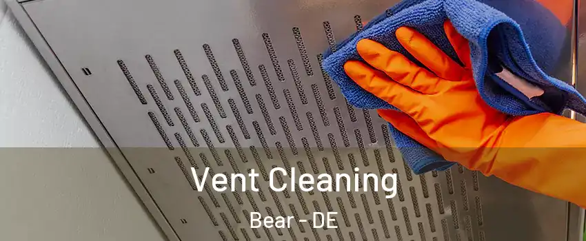  Vent Cleaning Bear - DE
